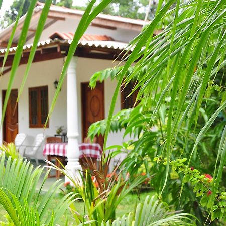 Sigiriya Amenity Home Stay Екстериор снимка