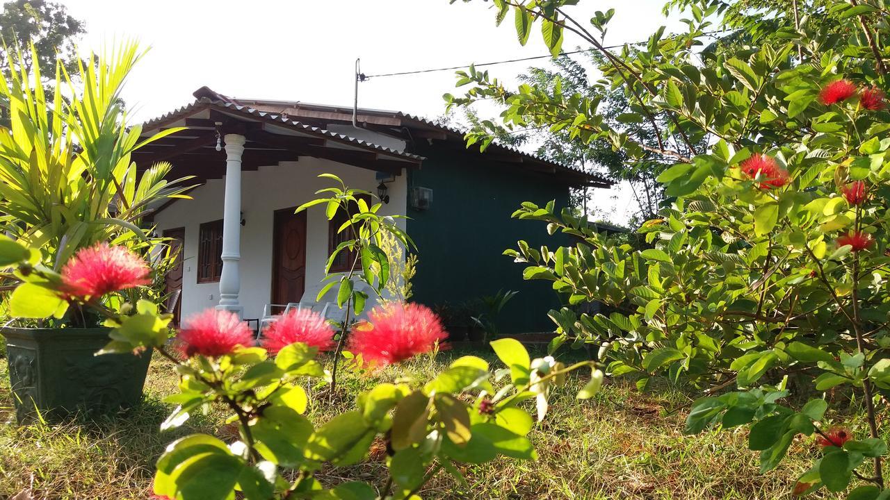 Sigiriya Amenity Home Stay Екстериор снимка