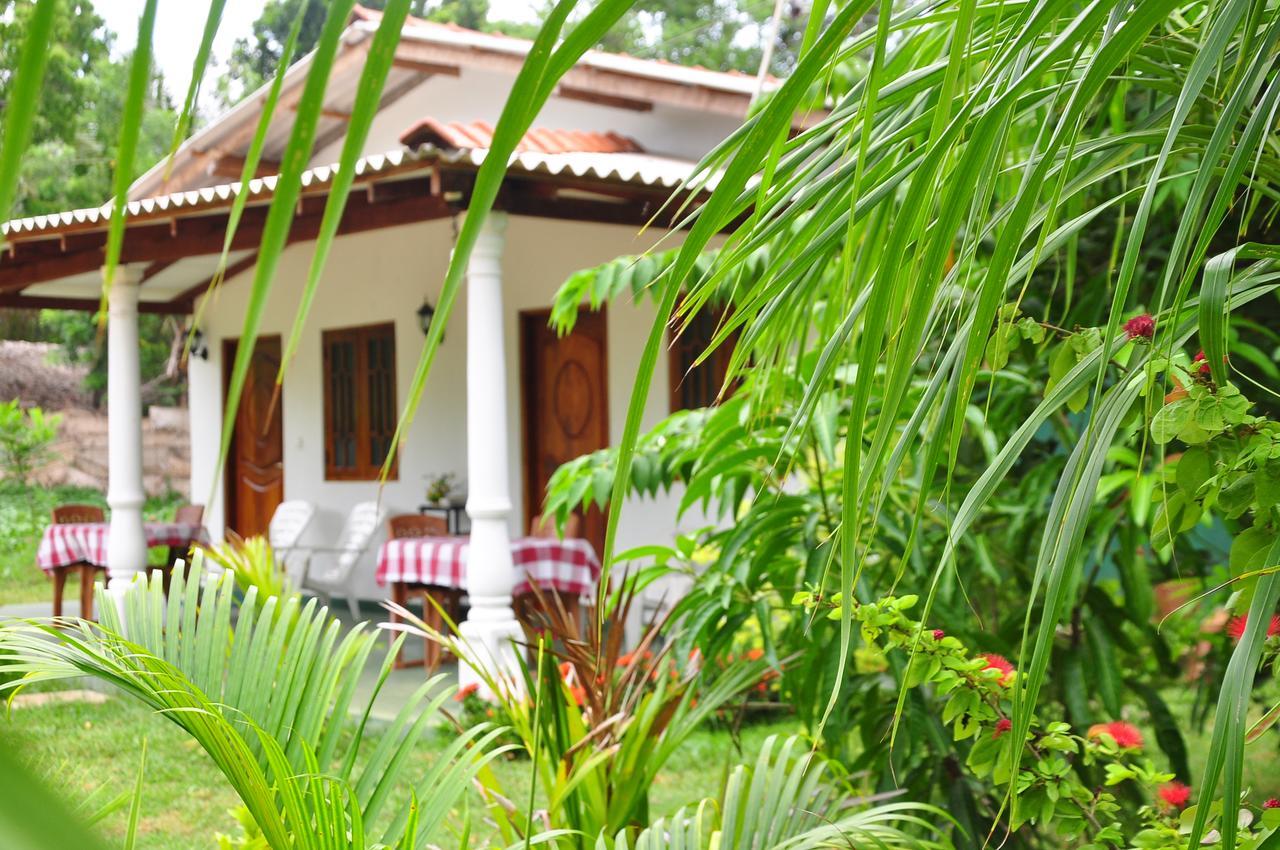 Sigiriya Amenity Home Stay Екстериор снимка