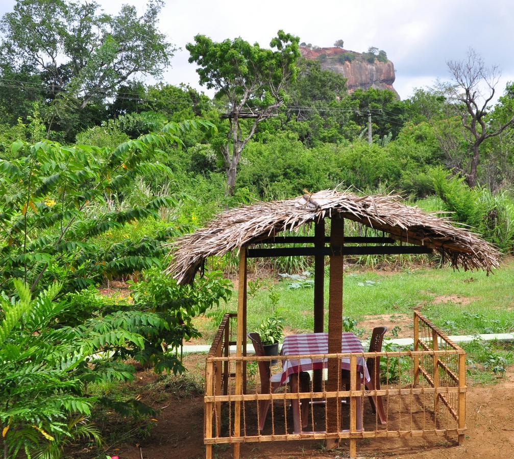 Sigiriya Amenity Home Stay Екстериор снимка