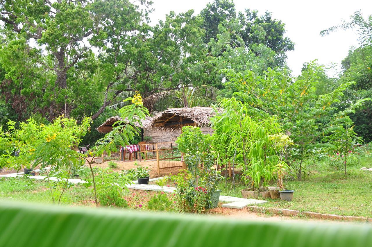 Sigiriya Amenity Home Stay Екстериор снимка