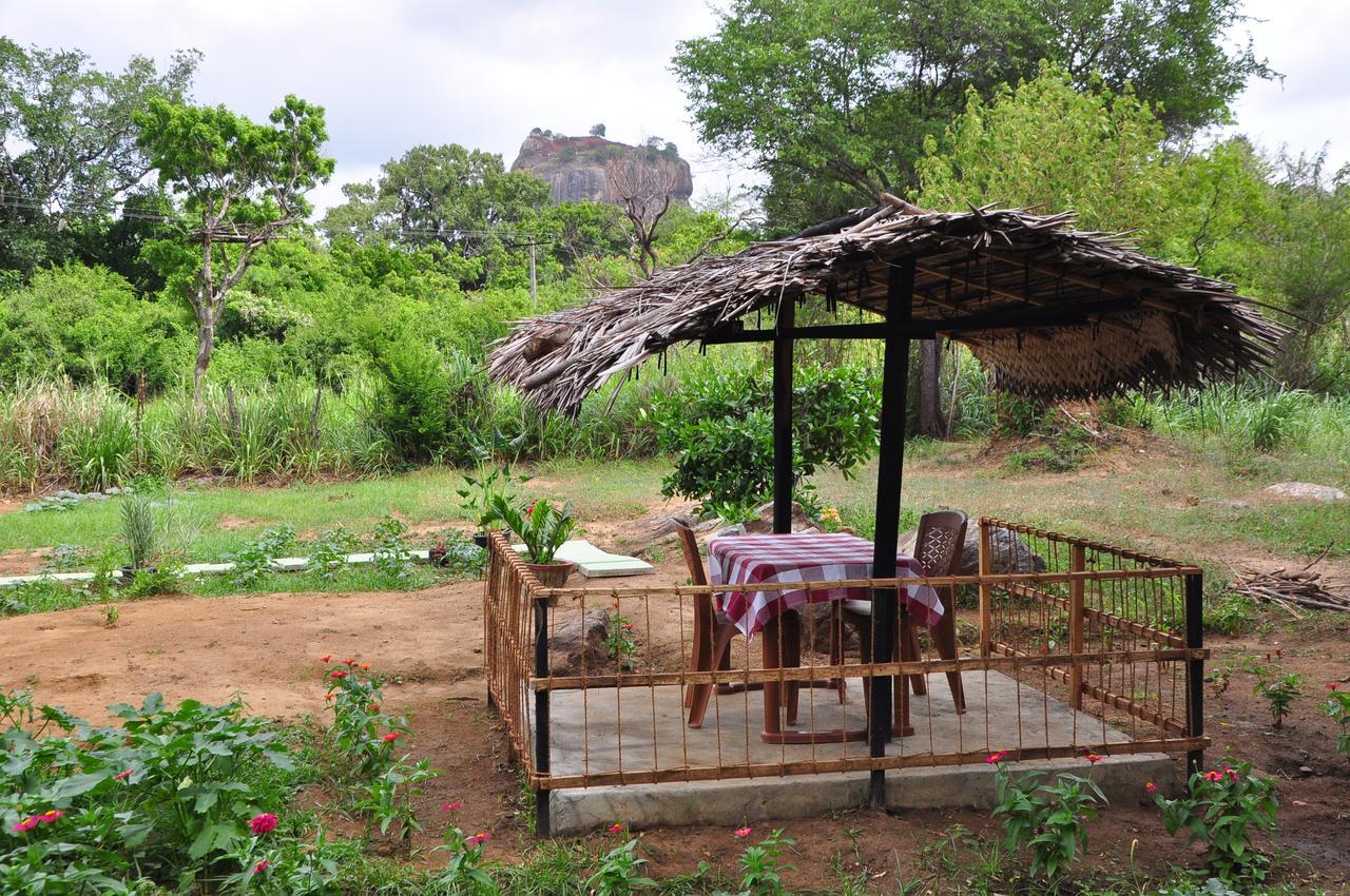 Sigiriya Amenity Home Stay Екстериор снимка