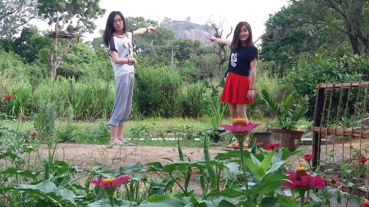 Sigiriya Amenity Home Stay Екстериор снимка
